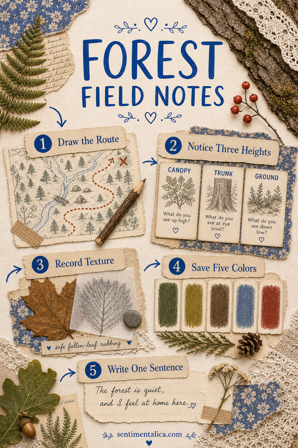 Forest field notes journal guide with route, observations, textures, colors, and one sentence