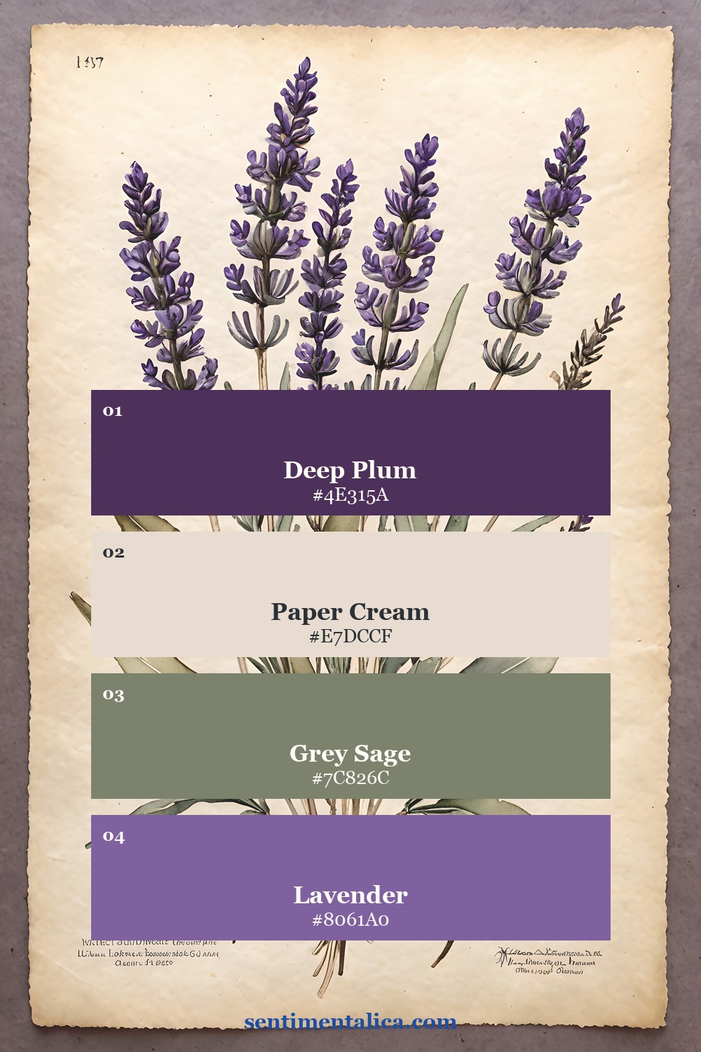 Violet, sage, parchment, and charcoal palette sampled from a real botanical herbarium page